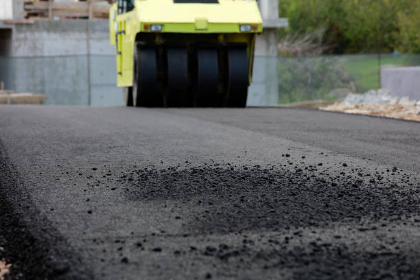 Best Driveway Pavers Near Me  in South Padre Island, TX